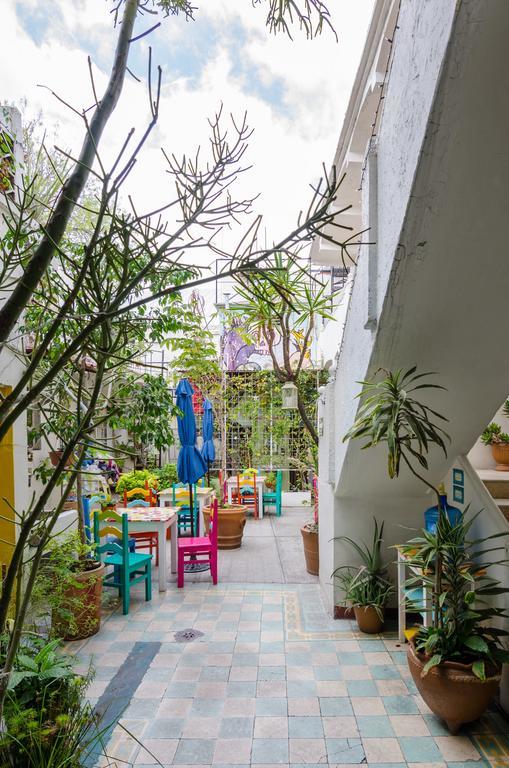 Casa De Don Pablo Hostel Oaxaca Экстерьер фото