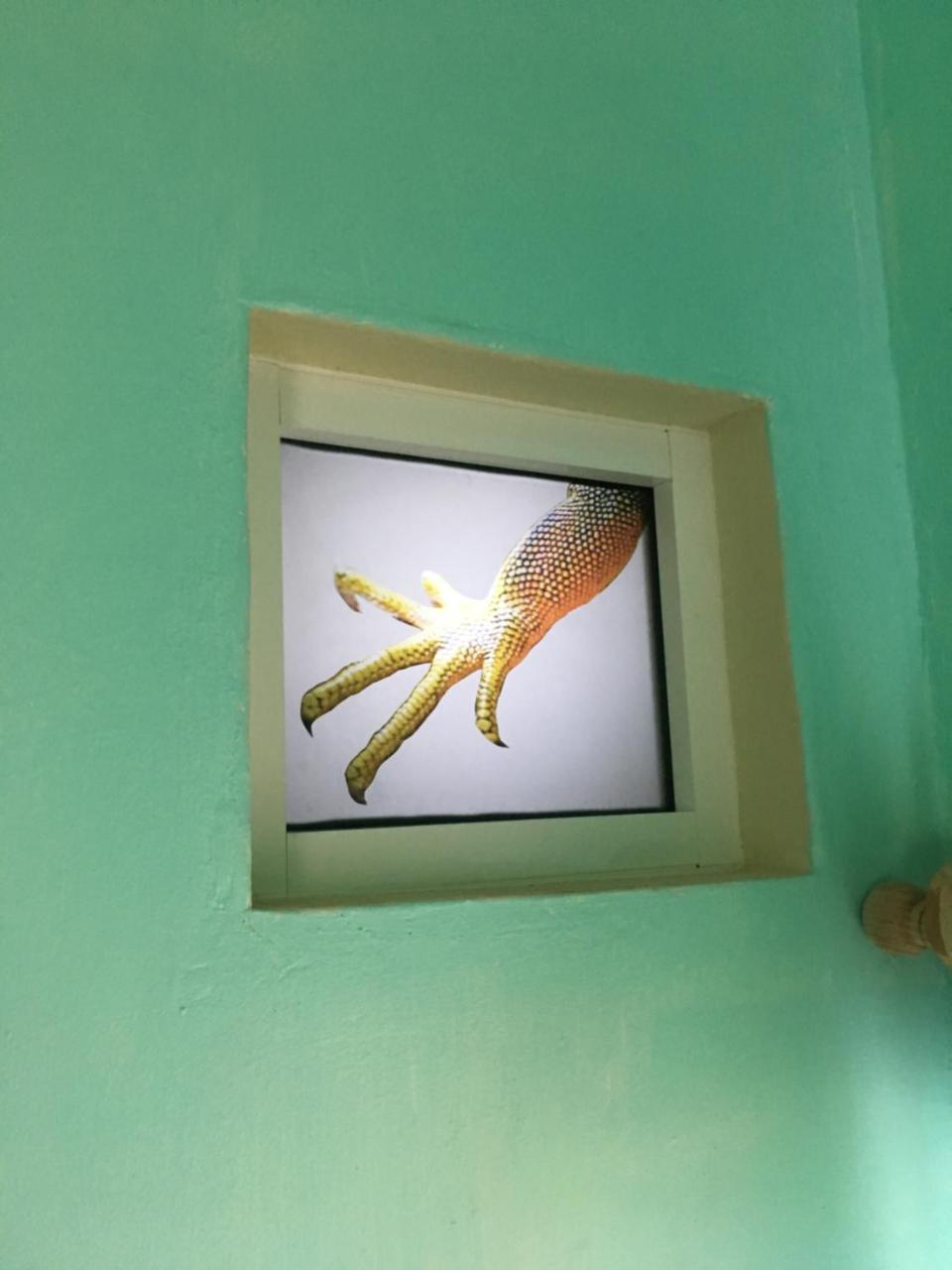 Casa De Don Pablo Hostel Oaxaca Экстерьер фото